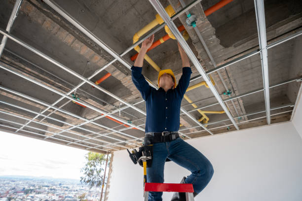 Best Leak Detection Services  in South Barrington, IL
