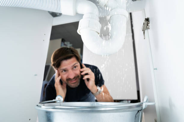 Best Septic Systems  in South Barrington, IL